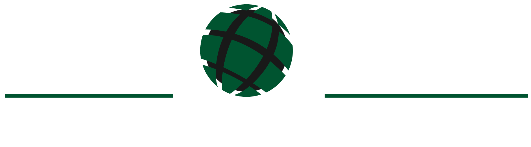 Easy-world-for-communications-LLC-ksa-flag-glob-b.